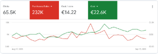 Google Ads: kulut 22,6 t€, myynti 232 t€