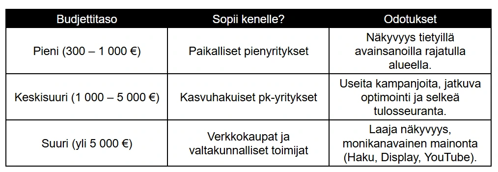 Budjettitaso (kk)	Fokus	Odotukset